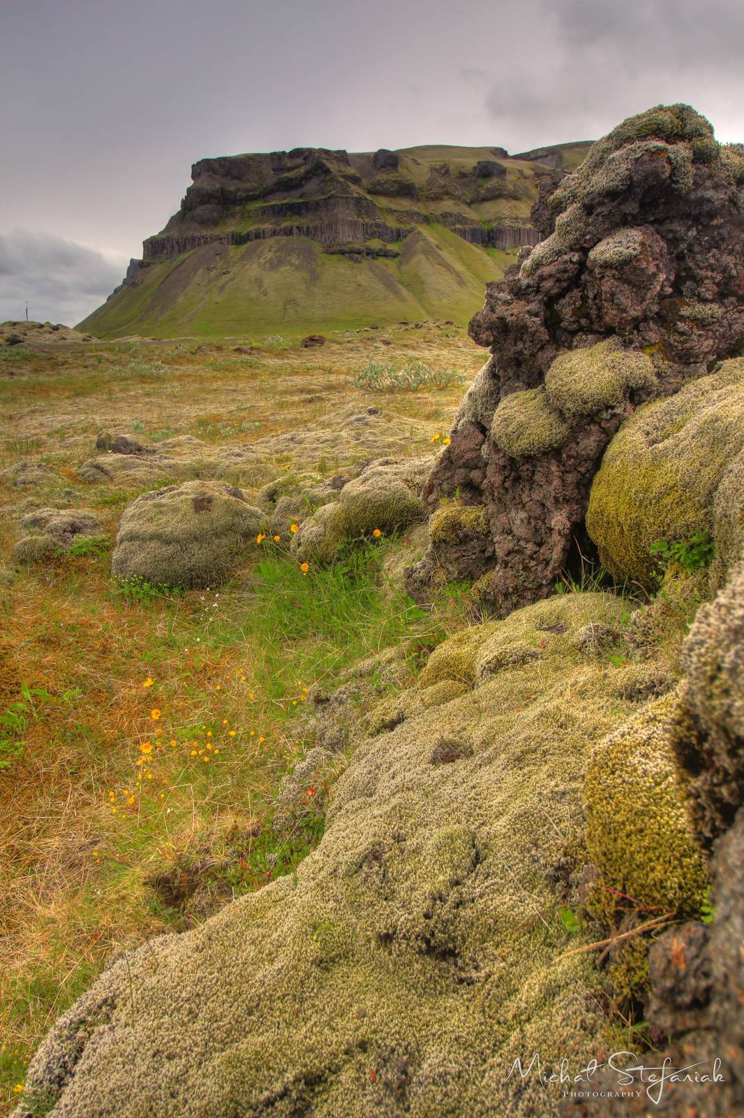 455 IMG 4084 5 6Enhancer